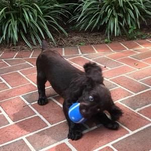 Meet your Posher, Rhonda